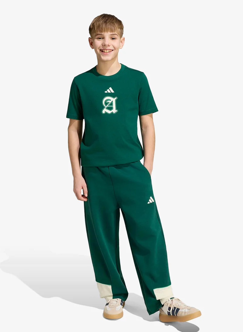 Adidas CGREEN Youth Stadium Graphic T-Shirt  | Best Price UAE