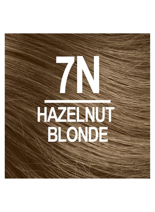 NATURTINT 7N Hazelnut Blonde Permanent Hair Color (Pack of 6), Ammonia Free, Vegan, Cruelty Free, up to 100% Gray Coverage, Long Lasting Results (Packaging may vary)  - Image 3