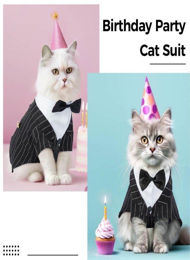 دينتران طقم بدلة رسمية للقطط من دينترون، زي قطط سفينكس رسمي مع ربطة عنق، قميص أنيق للقطط، ملابس فاخرة، زي رسمي للقطط الصغيرة، زي زفاف للقطط فقط - Image 5