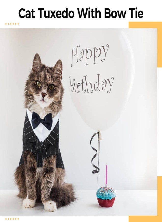 دينتران طقم بدلة رسمية للقطط من دينترون، زي قطط سفينكس رسمي مع ربطة عنق، قميص أنيق للقطط، ملابس فاخرة، زي رسمي للقطط الصغيرة، زي زفاف للقطط فقط - Image 3