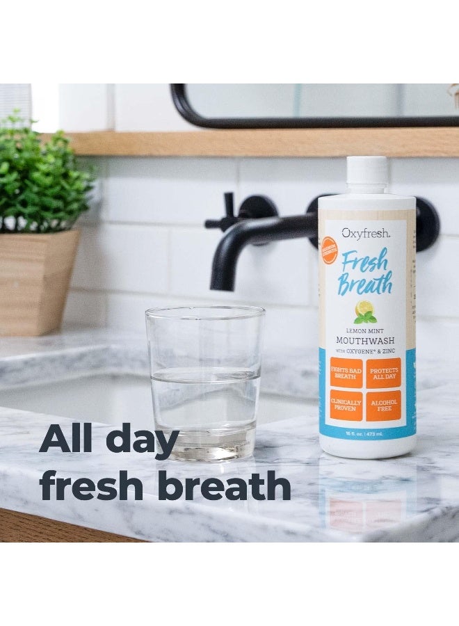 Oxyfresh Premium Lemon Mint Fresh Breath Mouthwash Oral Rinse for Bad Breath SLS Fluoride Free Mouthrinse Alcohol Free Gentle Non Burning Mouthwash with Xylitol Essential Oils 16 oz - Image 5