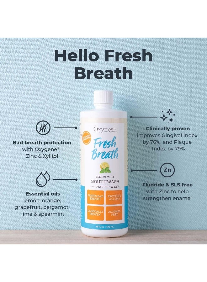 Oxyfresh Premium Lemon Mint Fresh Breath Mouthwash Oral Rinse for Bad Breath SLS Fluoride Free Mouthrinse Alcohol Free Gentle Non Burning Mouthwash with Xylitol Essential Oils 16 oz - Image 2