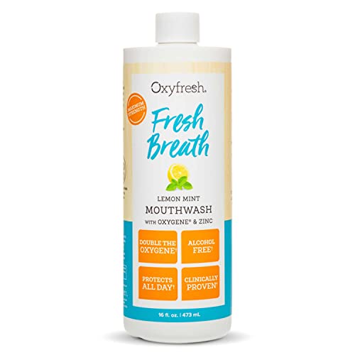 Oxyfresh Premium Lemon Mint Fresh Breath Mouthwash Oral Rinse for Bad Breath SLS Fluoride Free Mouthrinse Alcohol Free Gentle Non Burning Mouthwash with Xylitol Essential Oils 16 oz - Image 1