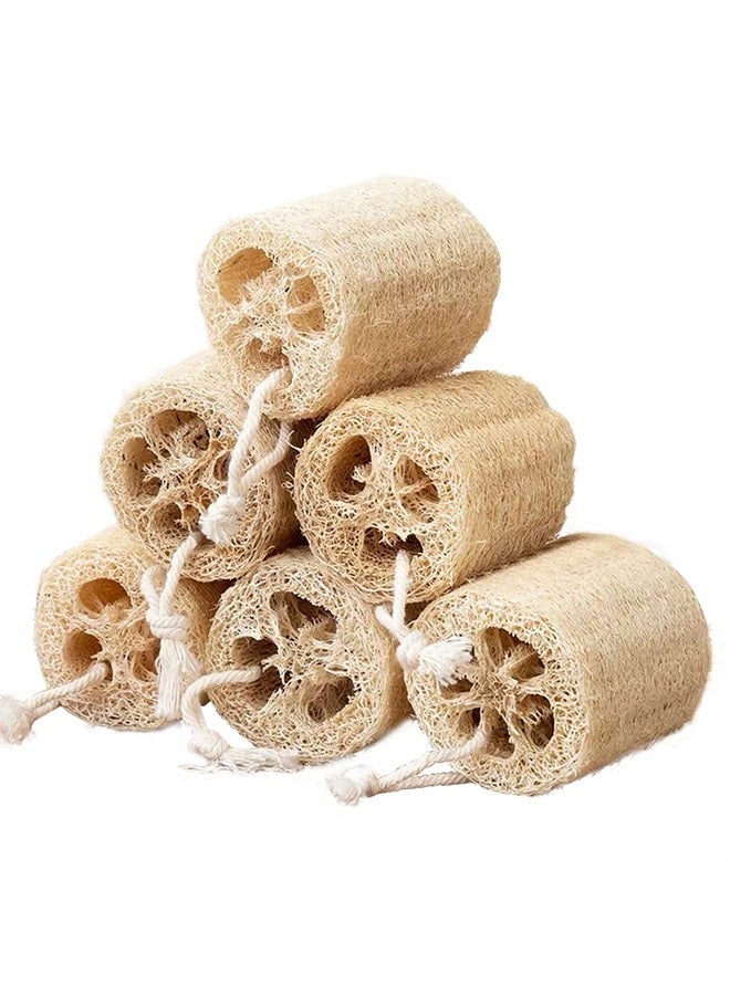 FRTIM Natural Loofah Sponge Shower Organic Luffa Exfoliating Bath Loofa Body Scrubber for Men Women Adults Back Face Skin SPA Care - 6 Pieces - Image 1