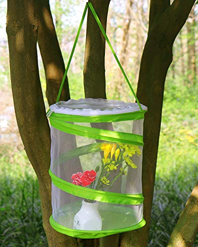 RESTCLOUD Pop-up Insect and Butterfly Habitat Cage Terrarium Clear Mesh Enclosure, See Through Easier 9" x 11" Tall - Image 2