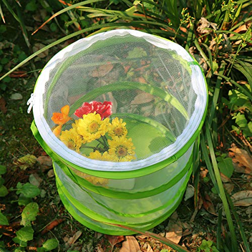 RESTCLOUD Pop-up Insect and Butterfly Habitat Cage Terrarium Clear Mesh Enclosure, See Through Easier 9" x 11" Tall - Image 5