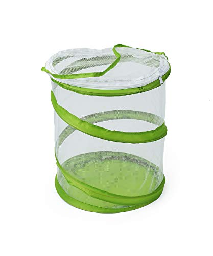 RESTCLOUD Pop-up Insect and Butterfly Habitat Cage Terrarium Clear Mesh Enclosure, See Through Easier 9" x 11" Tall - Image 3