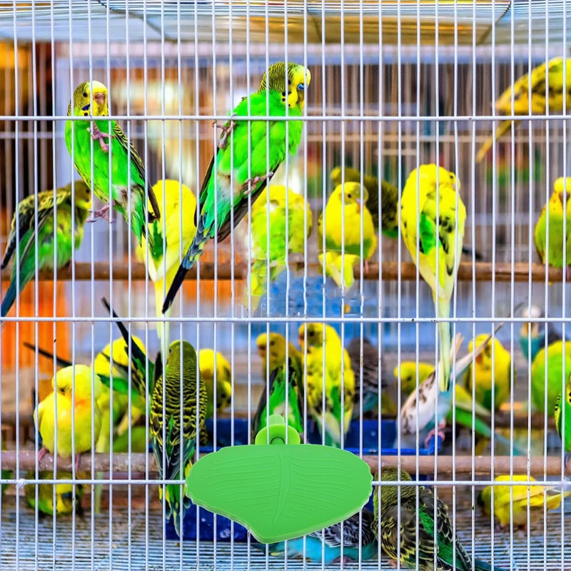 Natural Wood Bird Perch Stand Platform with Leaf Shape for Small Parrots Cage Accessory - Image 5