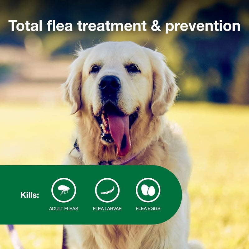 Advantage II Topical Flea Treatment for Large Dogs (21-55 lbs) - 6 Monthly Doses - Image 4