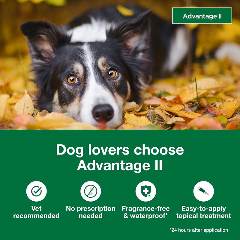 Advantage II Topical Flea Treatment for Large Dogs (21-55 lbs) - 6 Monthly Doses - Image 3