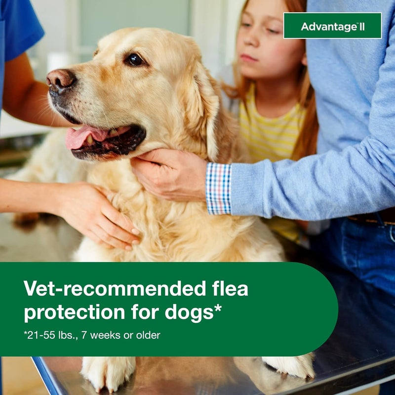 Advantage II Topical Flea Treatment for Large Dogs (21-55 lbs) - 6 Monthly Doses - Image 5