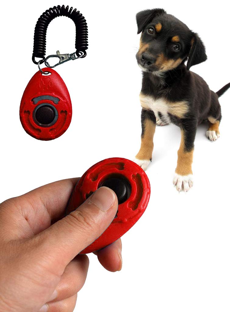Sage Square Pet Training Clicker with Wrist Strap and Strap Hook for Dog/Cat/Kitten/Puppy/Bird (Red) - Image 1