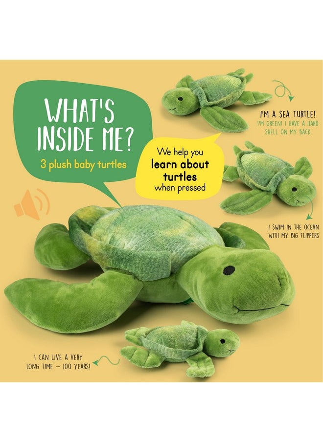Plush Creations Talking Stuffed Mommy Sea Turtle With 3 Baby Turtles In Her Tummy | Plush Turtles | Stuffed Turtle | Stuffed Animal Family | Stuffed Animal Mom And Baby | Stuffed Animals For Ages 0+  - Image 2