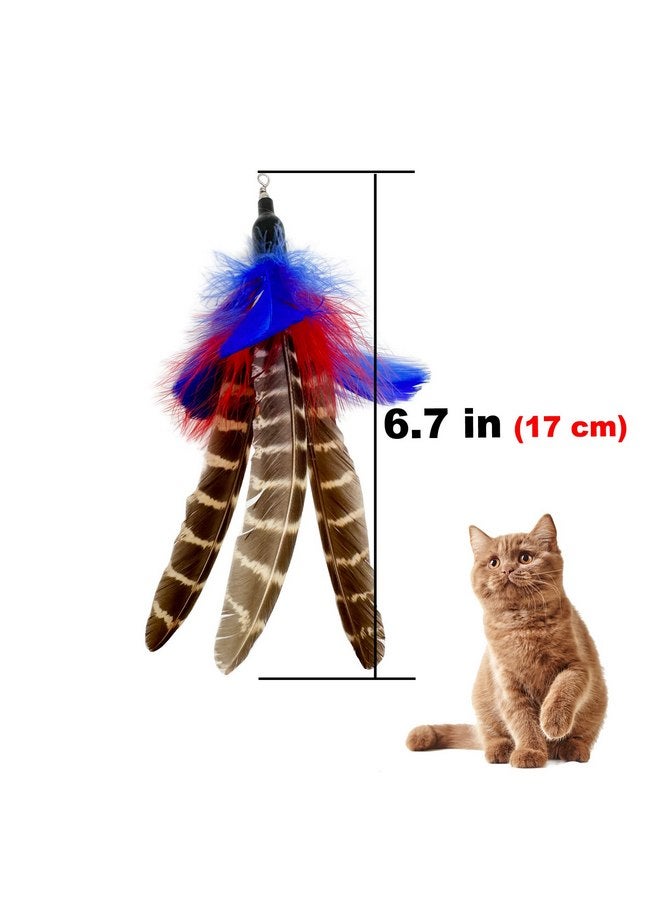 TIENAILING Cat Feather Toys Refills Cat Wand Replacement, 6 PCS Handmade Natural Da Bird Feathers Refill, Cat Toy Feather Replacement for Indoor Cats (A) - Image 3
