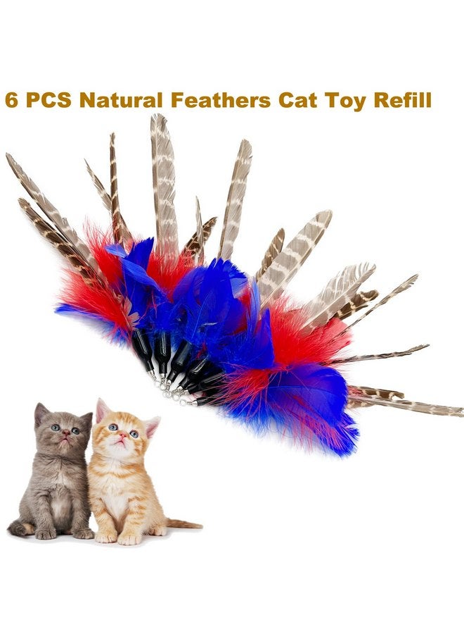 TIENAILING Cat Feather Toys Refills Cat Wand Replacement, 6 PCS Handmade Natural Da Bird Feathers Refill, Cat Toy Feather Replacement for Indoor Cats (A) - Image 2