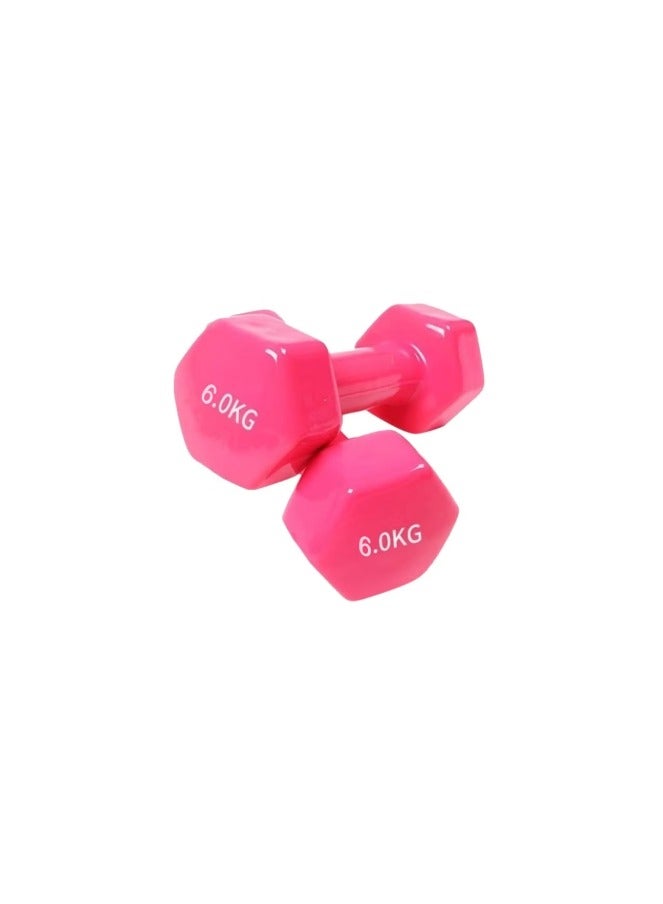 Vinyl dumbbell set consisting of two pieces 2 x 6 kilograms