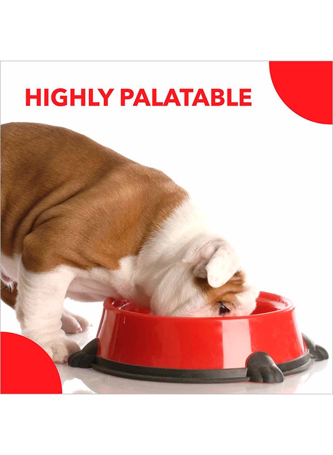 Drools الجرو الداعم - Image 2