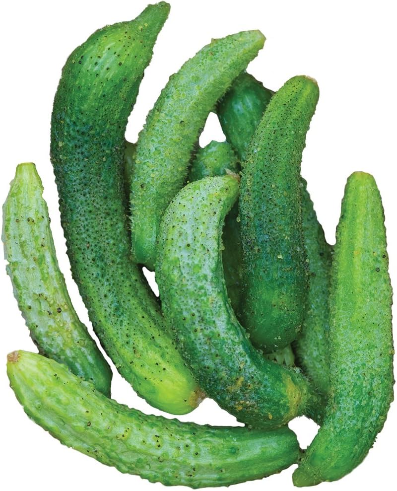 Burpee Parisian Cucumber Seeds 30 seeds - Image 1