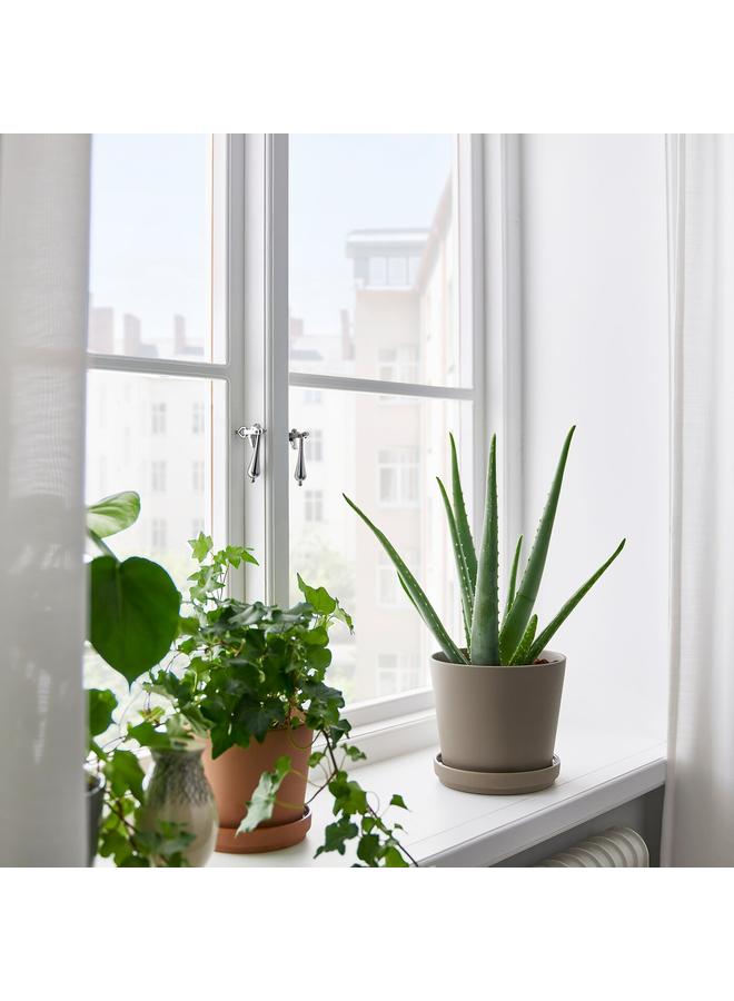 erorex Plant pot with saucer, in/outdoor grey-brown, 15 cm - Image 2