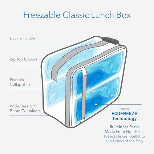 PackIt Freezable Classic Lunch Box, Sea Shark, Built with ECOFREEZE Technology, Collapsible, Reusable, Zip Closure With Zip Front Pocket and Buckle Handle, Designed for Fresh Lunch On the Go - Image 2