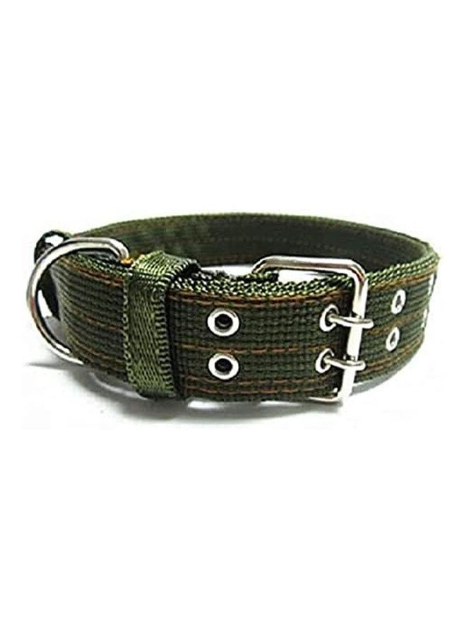IMAC - Nylon Dog Collar - Image 1