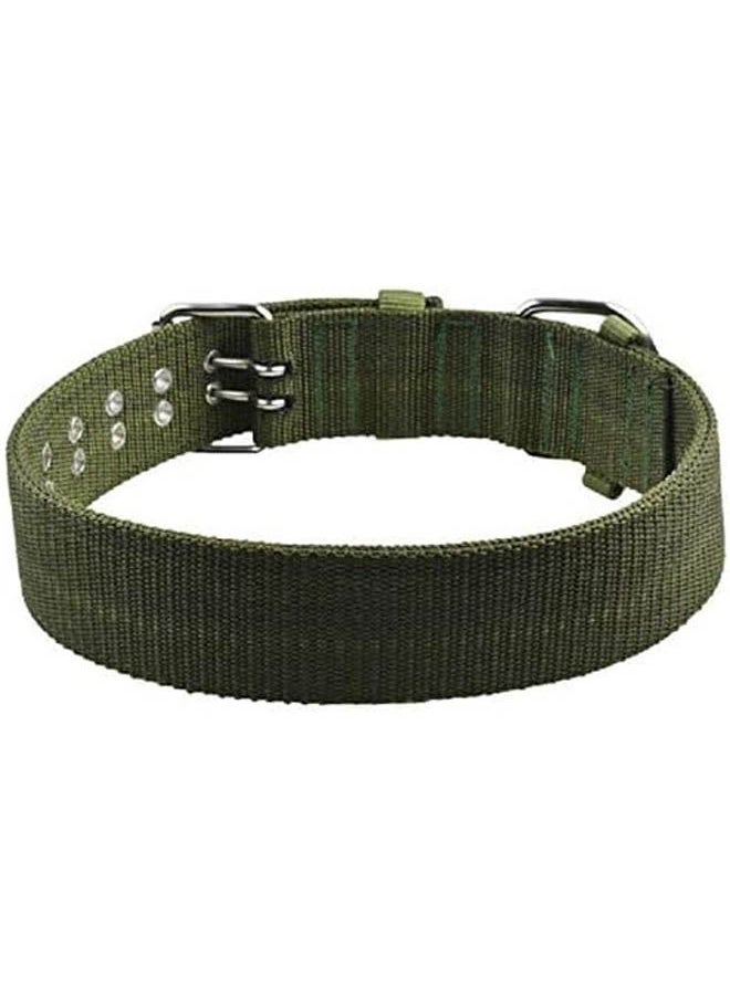 IMAC - Nylon Dog Collar - Image 1