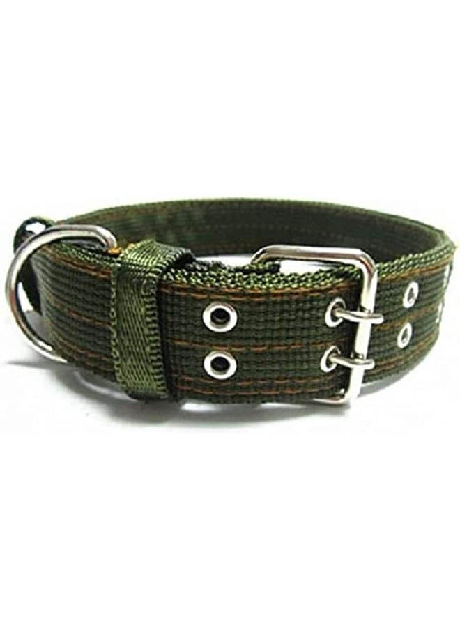 IMAC - Nylon Dog Collar - Image 1