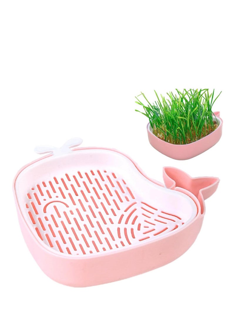 Cat Grass Pot, Layered Design Cat Graft Pot in Whale Shape, Soillness Planter for Hydroponics Cat Grass - Image 2