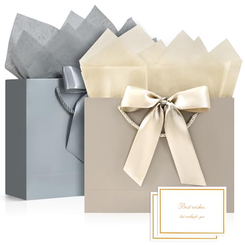 JMANNI Gift Bags with Handles 11 Small Gift Bag for Presents 2 Pcs Bags with 4 Tissue Paper and 2 Cards for Graduation Baby Shower Wedding Fathers Day Mothers Day Birthday Party GoldenSilver - Image 1
