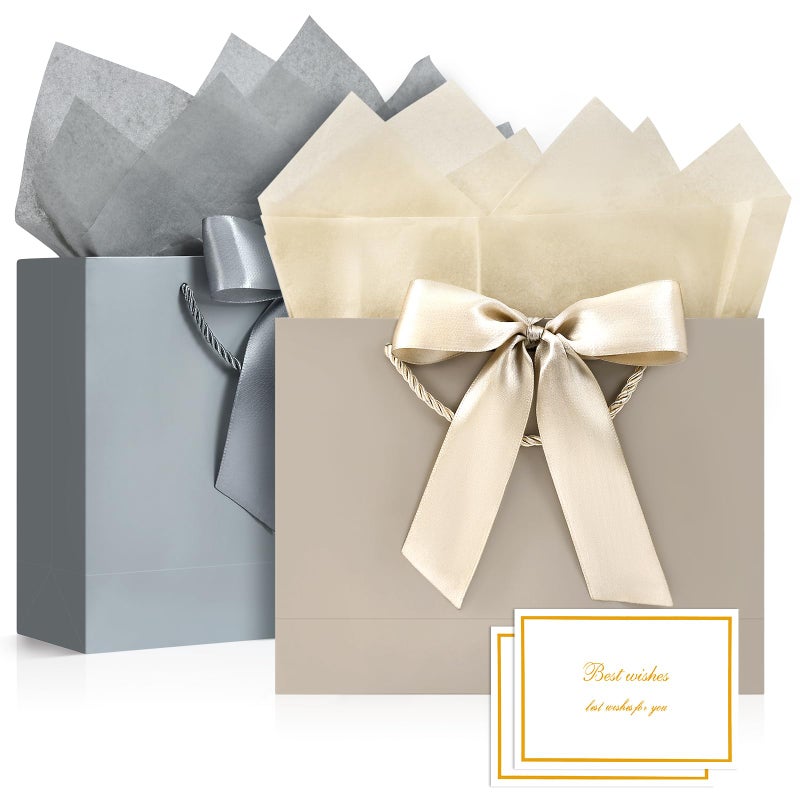 JMANNI Gift Bags with Handles 11 Small Gift Bag for Presents 2 Pcs Bags with 4 Tissue Paper and 2 Cards for Graduation Baby Shower Wedding Fathers Day Mothers Day Birthday Party GoldenSilver - Image 2