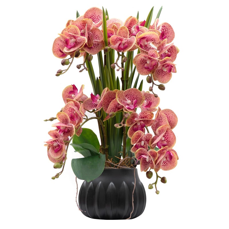 CXGS Artificial Orchid Flower Plant 19.7'' Real Touch Faux Orchids in Ceramic Vase Purple Dapple Fake Phalaenopsis Flower Arrangement Silk Orchids with Stems for Centerpiece Table Home Indoor Decor - Image 1