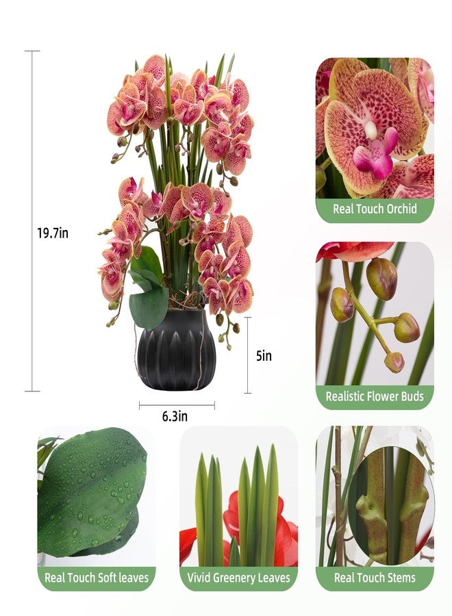 CXGS Artificial Orchid Flower Plant 19.7'' Real Touch Faux Orchids in Ceramic Vase Purple Dapple Fake Phalaenopsis Flower Arrangement Silk Orchids with Stems for Centerpiece Table Home Indoor Decor - Image 2