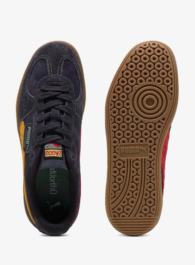 بوما باليرمو طريق الوحدة