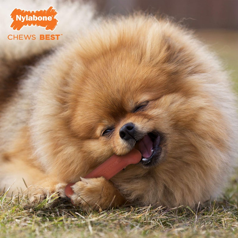 Nylabone Original Bone Power Chew Toy for Dogs, Durable & Tough Dog Toys for Aggressive Chewers, Bacon Flavor, Small - Up to 25 lbs - Up to 25 Ibs, 1 Count - Image 3