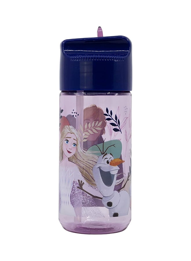 STOR Frozen ECOZEN Hydro Water bottle for Kids 430 ML - Image 1