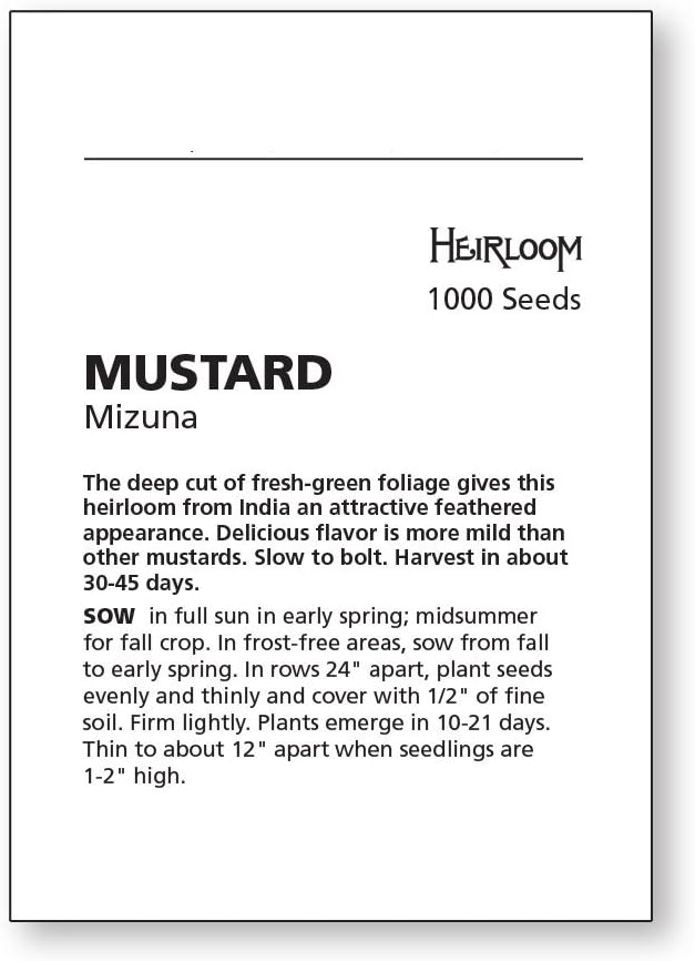 Burpee Mizuna Mustard Seeds 1000 seeds - Image 3