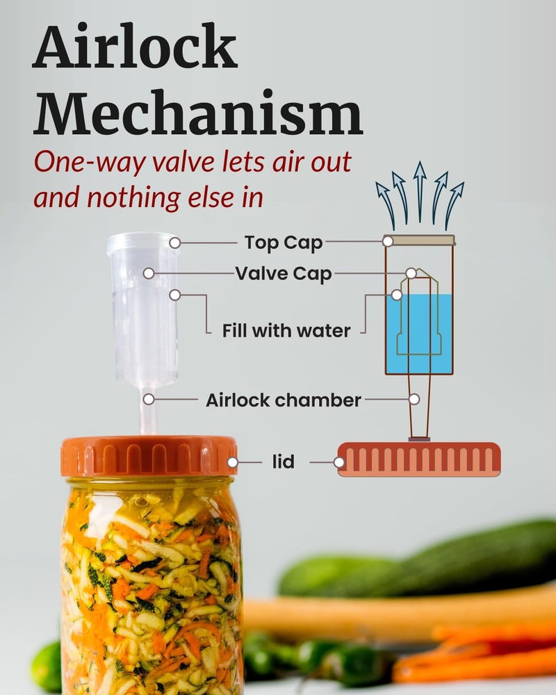 Elementi Mason Jar Fermentation Kit - Set of 4 Glass Fermenting Weights & Wide Mouth Mason Jar Fermentation Lids - Sauerkraut, Kimchi & Pickling Kit - Airlocks for Fermenting - Image 3