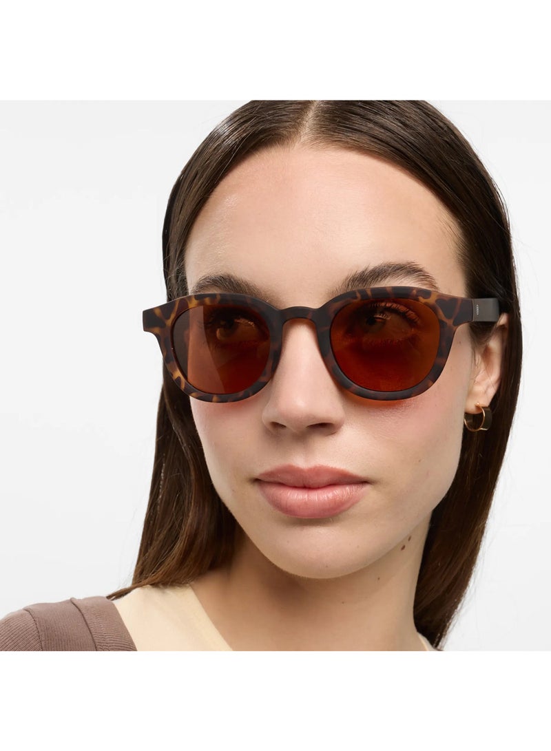 BARNER Andy Matte Tortoise Sun - Unisex  Round Sunglasses - Image 3