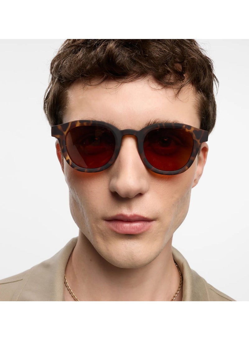 BARNER Andy Matte Tortoise Sun - Unisex  Round Sunglasses - Image 2