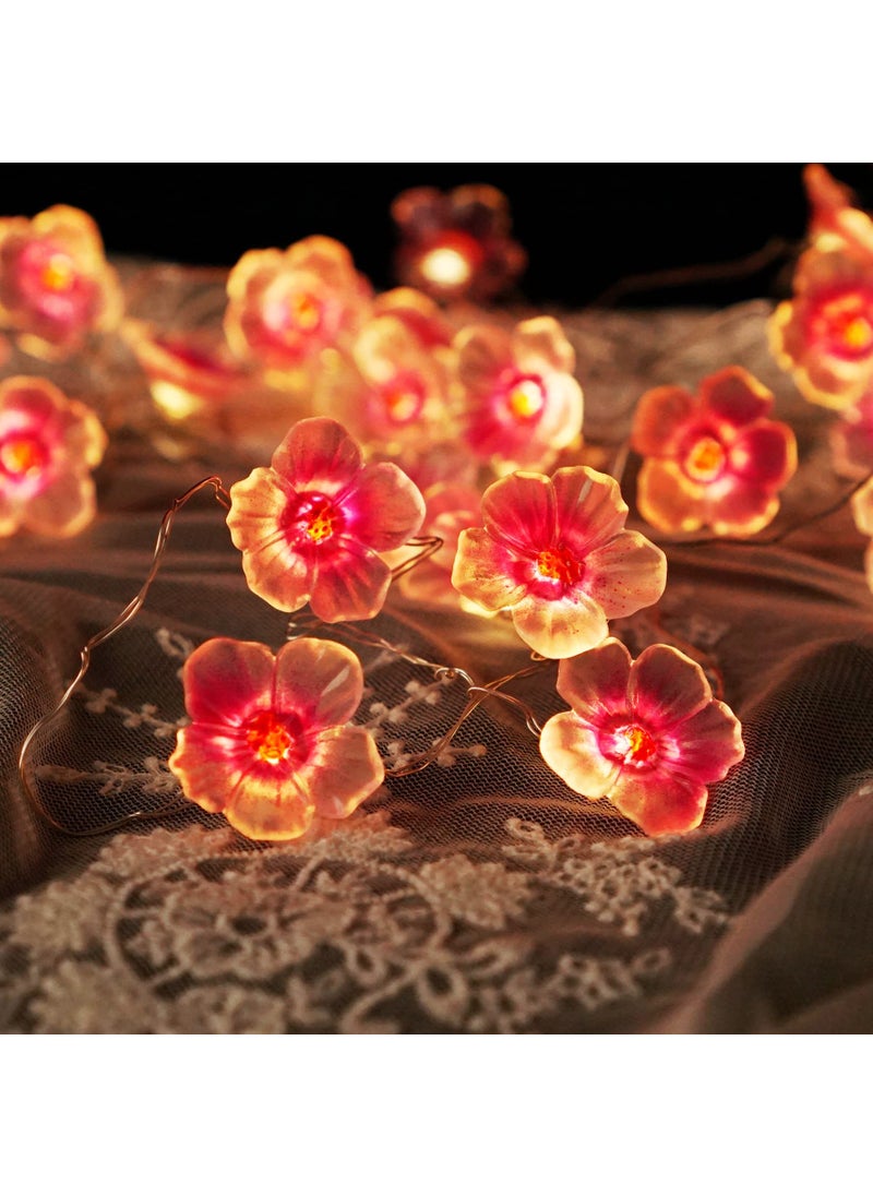 Decorman Cherry Blossom String Light 13ft 40 LED Fairy Lights Pink Cherry Flower Battery Operated with Timer 8 Modes Lighting Indoor Decorative String Lights for Bedroom Wedding Party Decor 