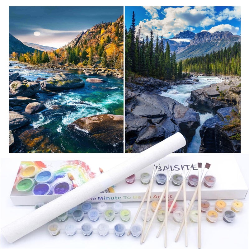 BAISITE Paint by Numbers Kit for Adults Beginners,12" Wx16 L 2 Pack Canvas for Painting Kits for Adults in Colorful Box-BAIPBN605-606 - Image 1