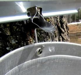 Liberty Stainless Steel Maple Sap Spile for 7/16" tap hole, With bucket hook (5) - Image 2