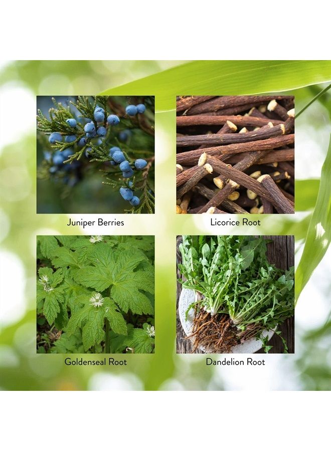 Nature's Sunshine Pro-Pancreas, 100 Capsules, Kosher | Herbal Formula Enhances Digestion, Promotes Immunity, and Helps the Liver and Pancreas - Image 4