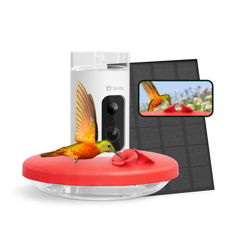Birdfy Hummingbird Feeder with Camera & Solar Panel, Smart Bird Feeder with AI Recognition & Capture on Outdoors, Gardens, Easy to Clean, 14oz Capacity, SE - Image 1