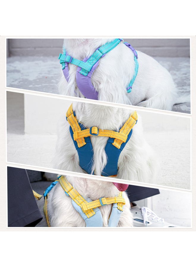 Tuffhound Dog Leash For Small And Medium Dogs, Lightweight Chest Harness, Anti-burst, Tf022 Sky Blue S - Image 4