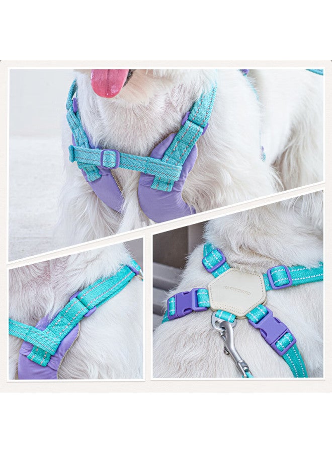 Tuffhound Dog Leash For Small And Medium Dogs, Lightweight Chest Harness, Anti-burst, Tf022 Sky Blue S - Image 5