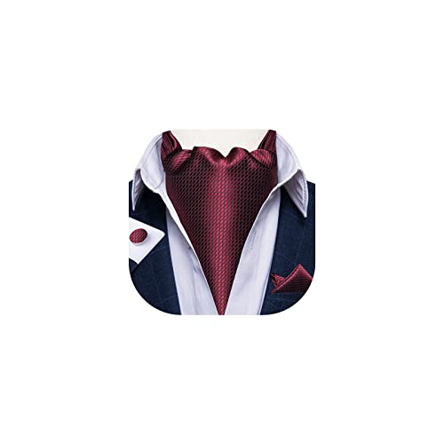 DiBanGu Burgundy Ascot Ties for Men Cravat Tie and Pocket Square Set Jacquard Silk Ascot Paisley Cravat for Men - Image 1