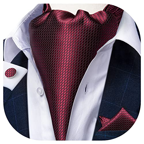 DiBanGu Burgundy Ascot Ties for Men Cravat Tie and Pocket Square Set Jacquard Silk Ascot Paisley Cravat for Men - Image 2