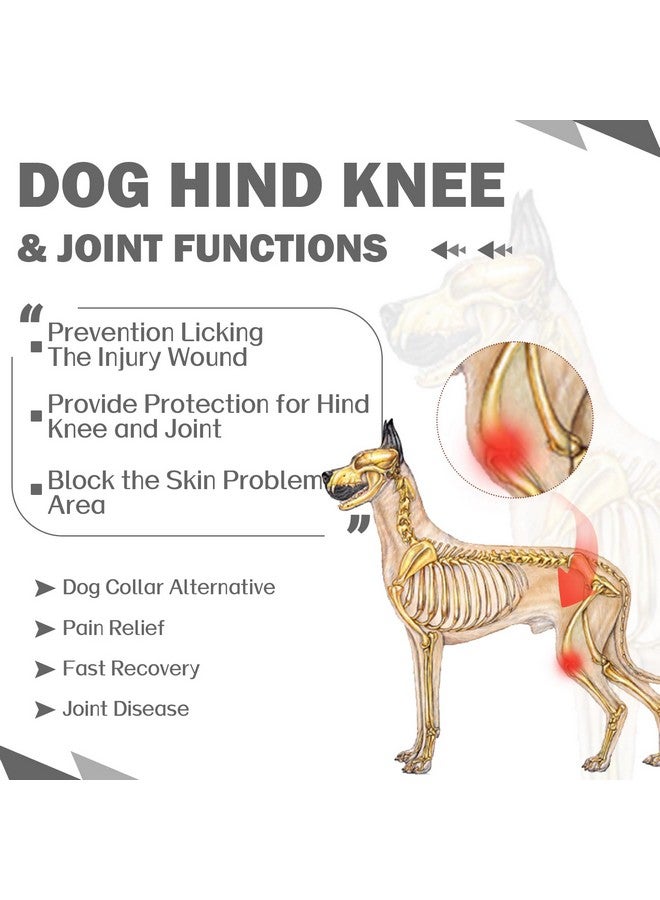 روزكيتش كم ROZKITCH للتعافي من جراحات الكلاب للساق الخلفية اليمنى اليسرى، واقي دعامة الكوع لمنع لعق الجروح للحيوانات الأليفة، بدلة تعافي الكلاب، طوق مخروطي بديل للالتواء الرباط الصليبي الأمامي والتهاب المفاصل والعناية بالمفاصل، رمادي مقاس XL - Image 2