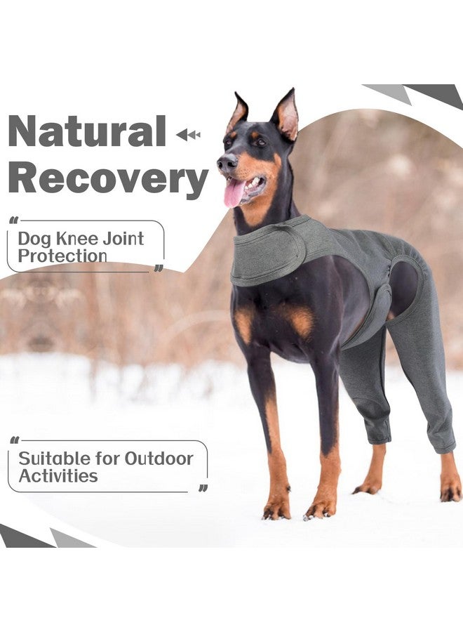 روزكيتش كم ROZKITCH للتعافي من جراحات الكلاب للساق الخلفية اليمنى اليسرى، واقي دعامة الكوع لمنع لعق الجروح للحيوانات الأليفة، بدلة تعافي الكلاب، طوق مخروطي بديل للالتواء الرباط الصليبي الأمامي والتهاب المفاصل والعناية بالمفاصل، رمادي مقاس XL - Image 3